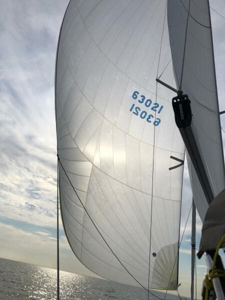 2019 Jeanneau Sun Odyssey 349