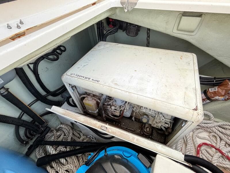 2019 Leopard  - Photo 33