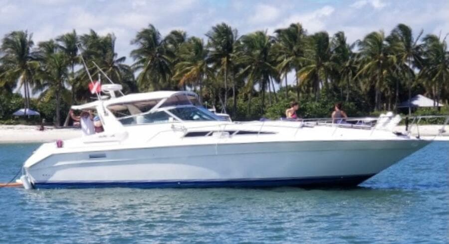 1993 Sea Ray 440 Sundancer yacht on water, palm trees in background.