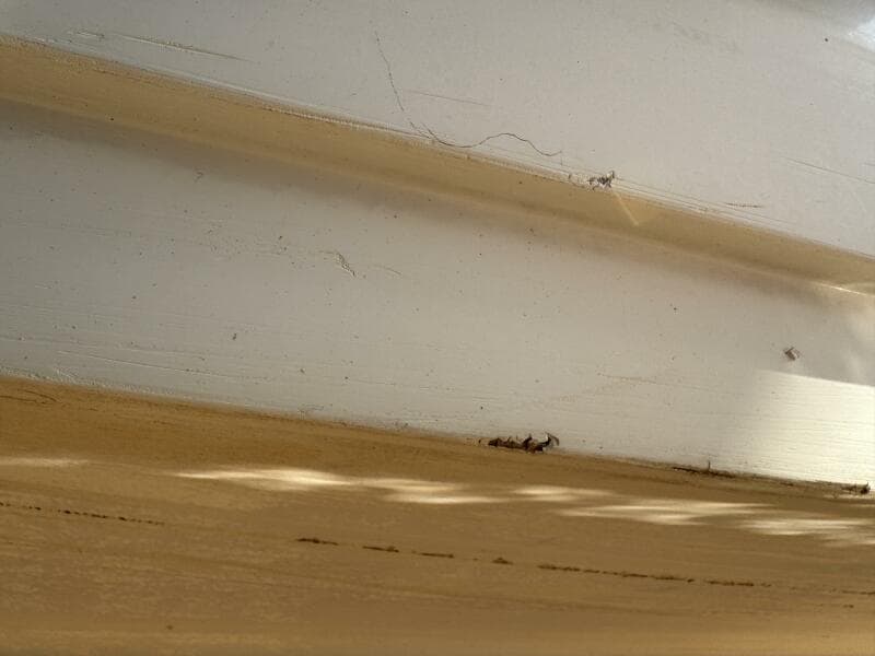 1994 Chaparral Signature 27 Cabin Cruiser