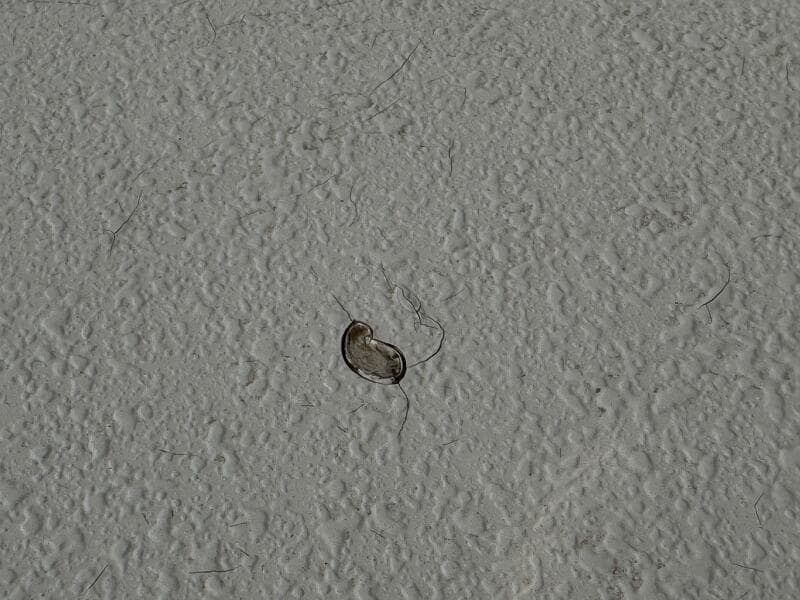 1994 Chaparral Signature 27 Cabin Cruiser