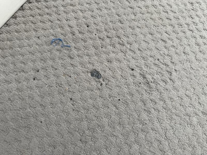 2002 Bennington 257L Pontoon Boat