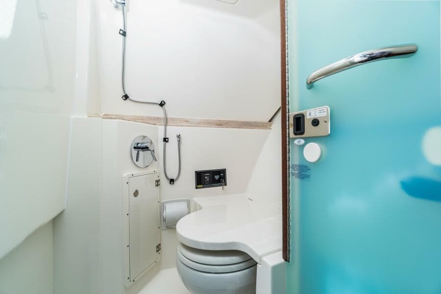 Pursuit 365 MISS MORGAN III - Head