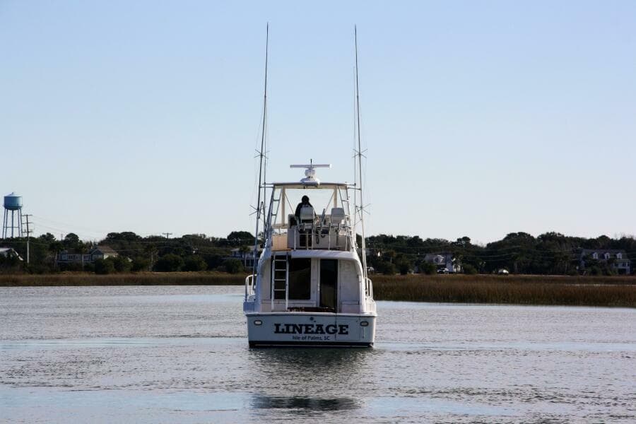 Bertram 39 Lineage- Profile