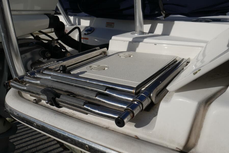 Boston Whaler 31 - CHUCK - Swim Ladder