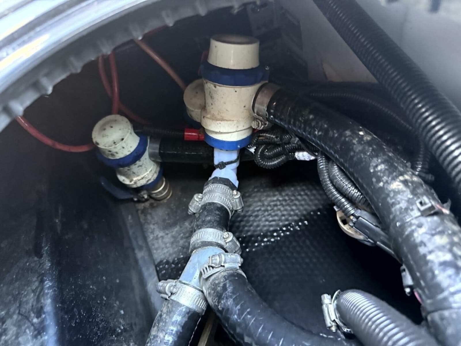 2020 Axis T23 - Photo 55