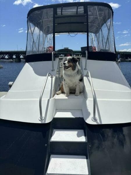 Bow Access To Flybridge