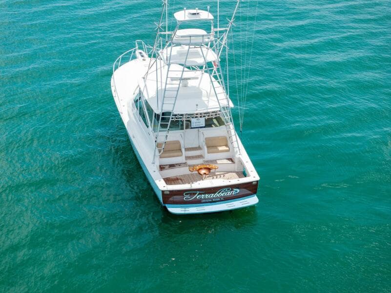 2015 Viking 52 Open "Terrabbean"