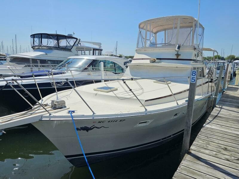 1977 Viking 43 Aft Cabin