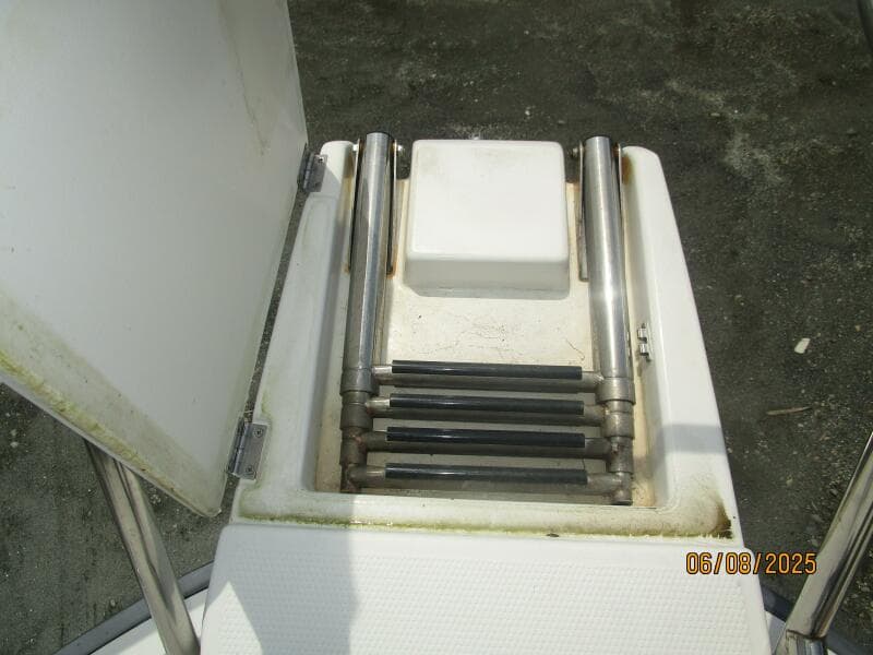 28' Cutwater bow boarding ladder