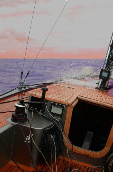 2025 Black Pepper Code#