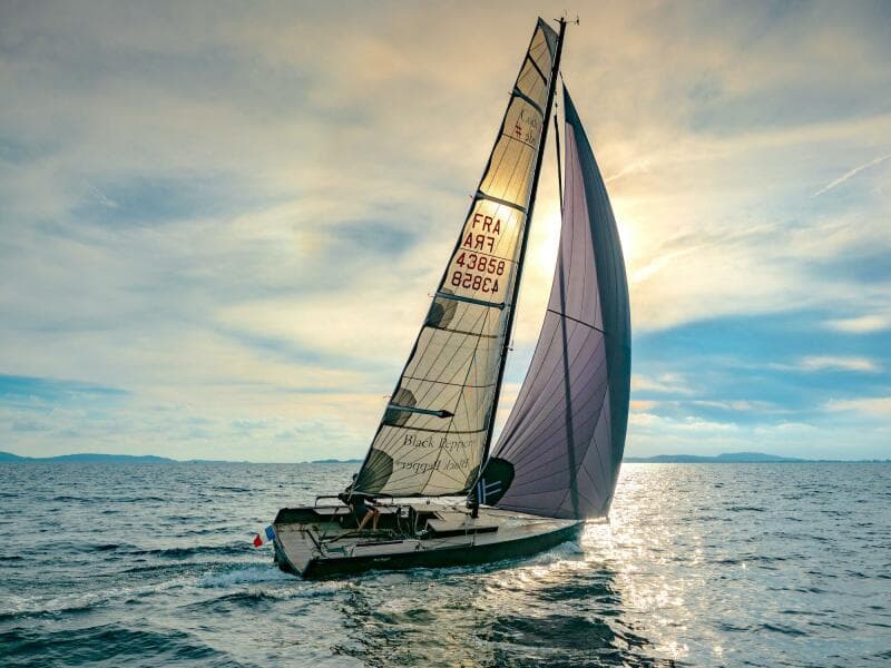 2025 Black Pepper Code#