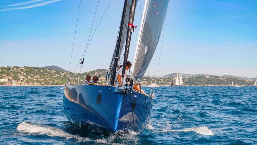 2025 Black Pepper Code 0.1