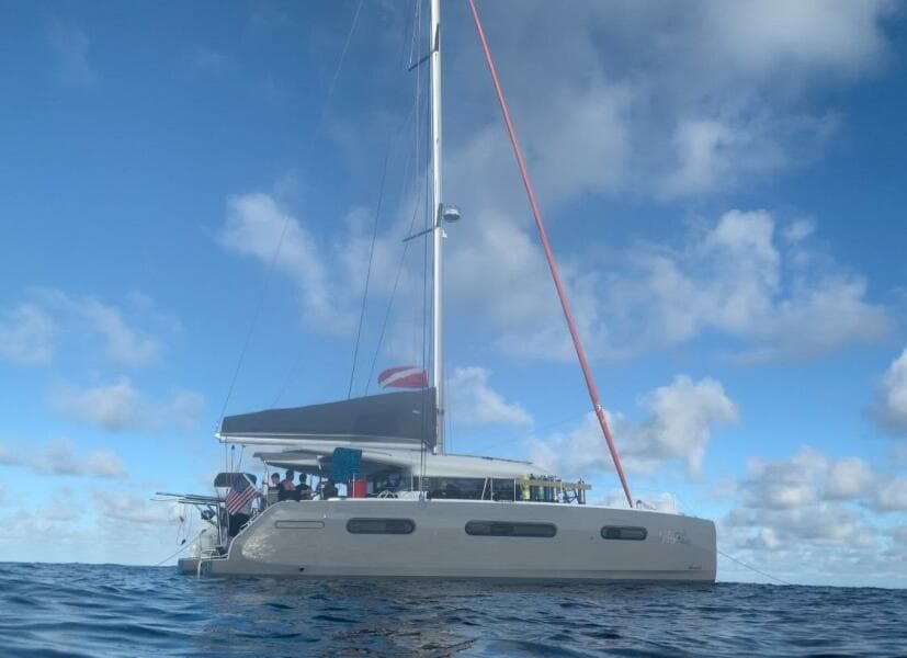 2020 Excess Excess 15