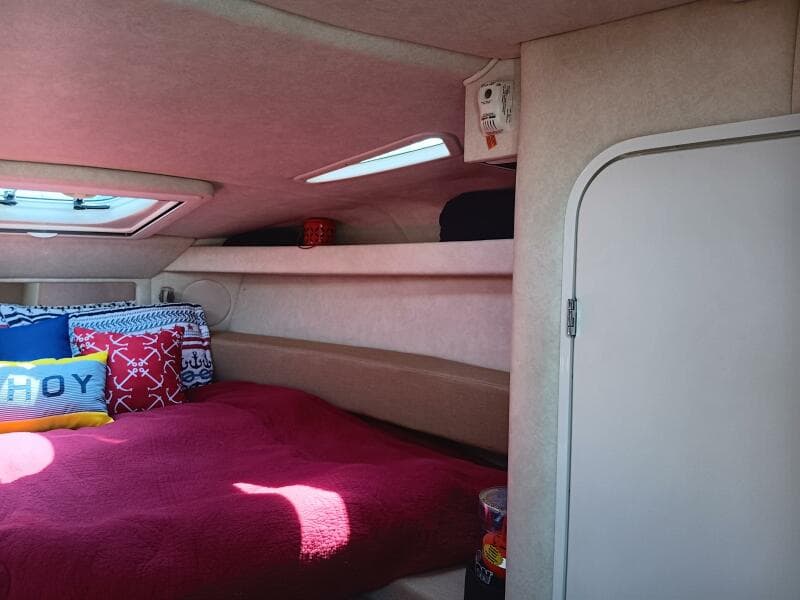 2010 Sea Ray 260 Sundancer