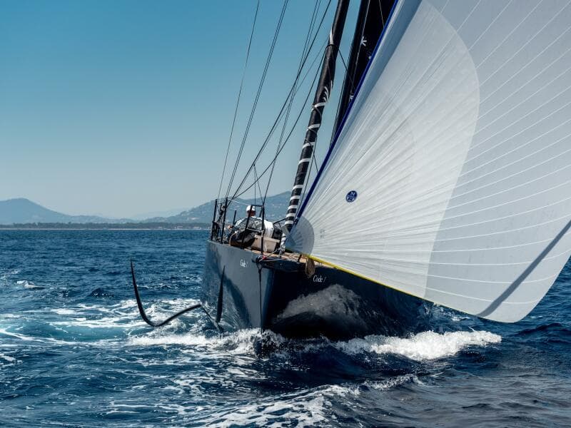 2026 Black Pepper Code 1