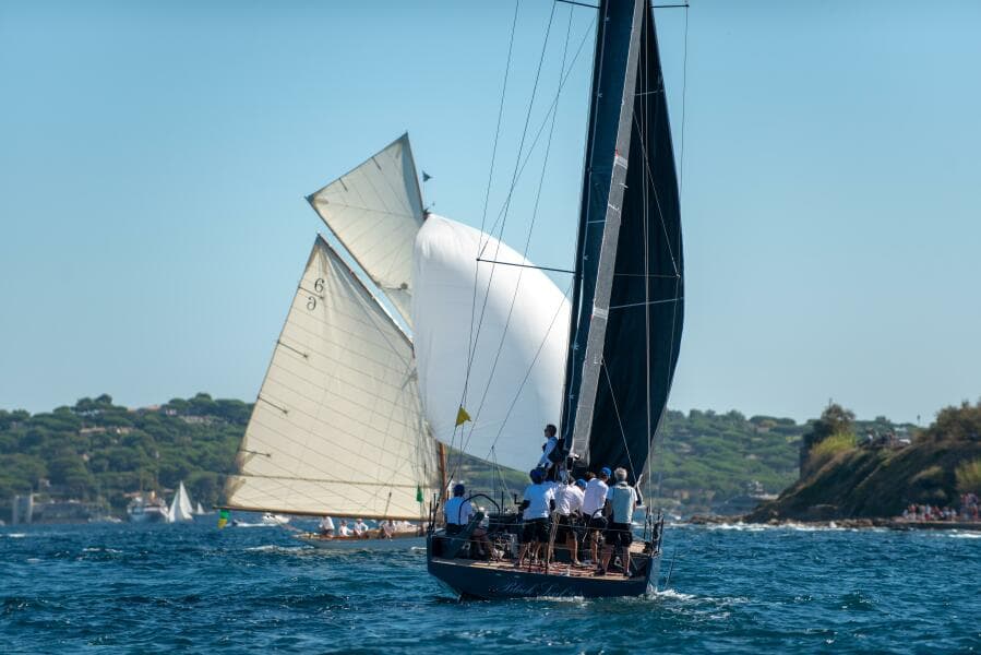 2026 Black Pepper Code 1