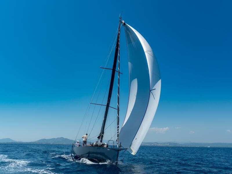 2026 Black Pepper Code 1