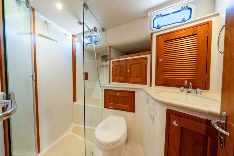 Day Head With Shower