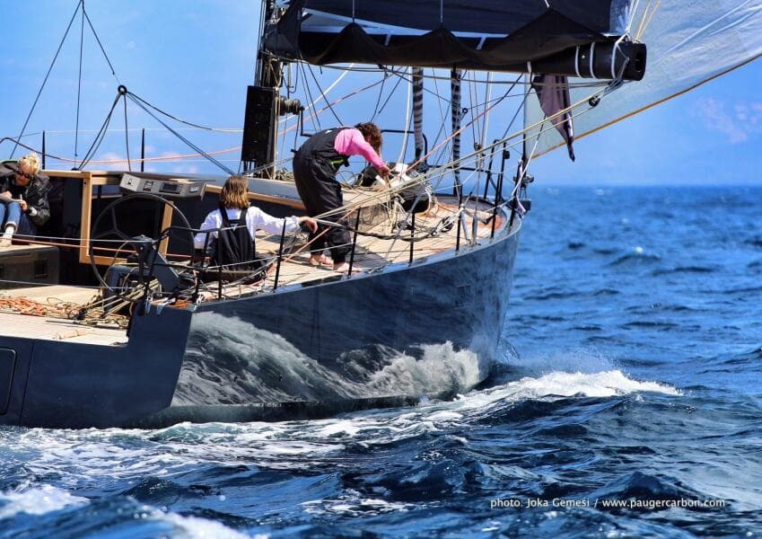 2026 Black Pepper Code 2