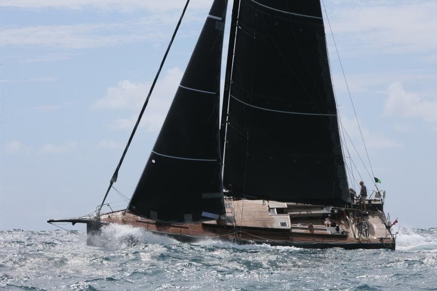 2026 Black Pepper Code 2