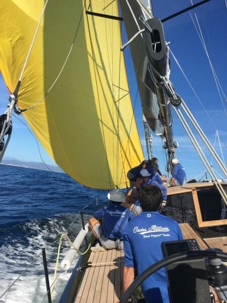 2026 Black Pepper Code 2