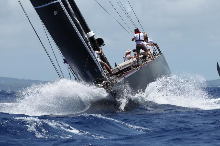 2026 Black Pepper Code 2