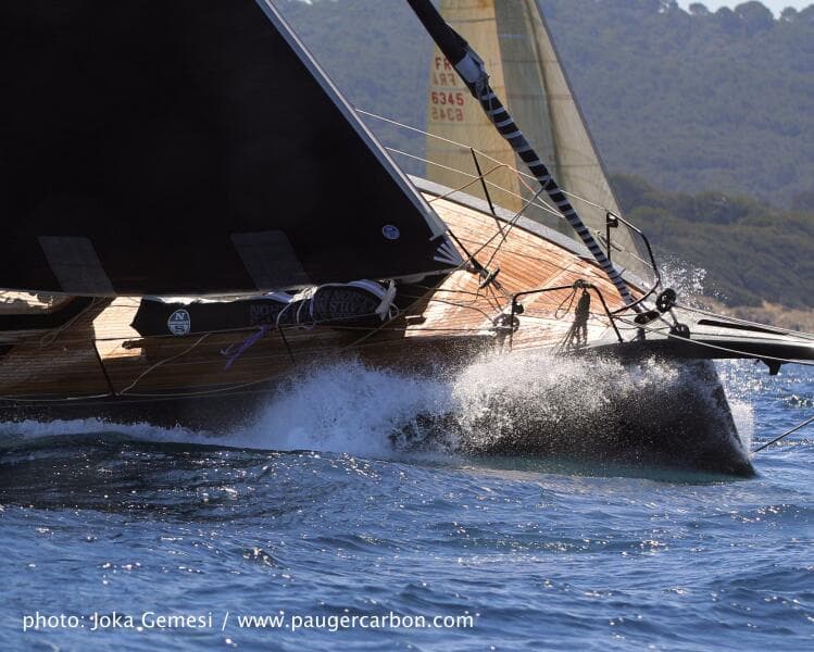 2026 Black Pepper Code 2