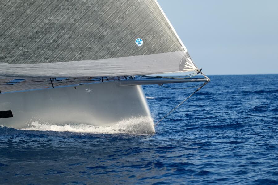 2026 Black Pepper Code 3