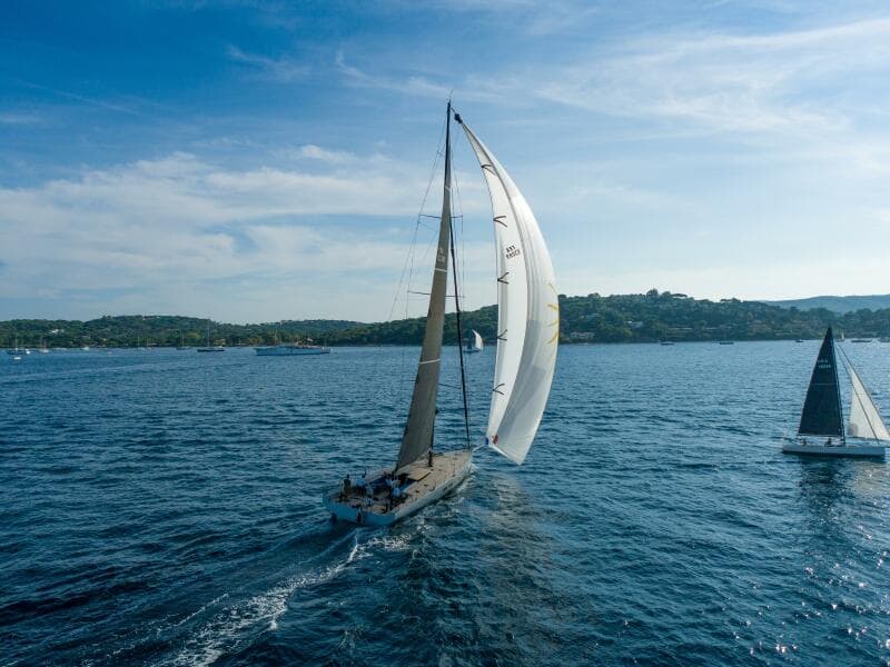 2026 Black Pepper Code 3