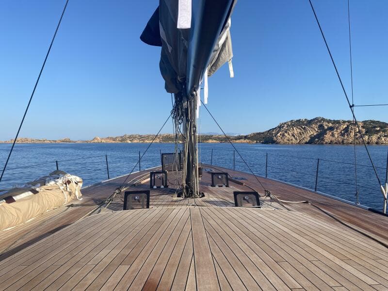 2026 Black Pepper Code 3