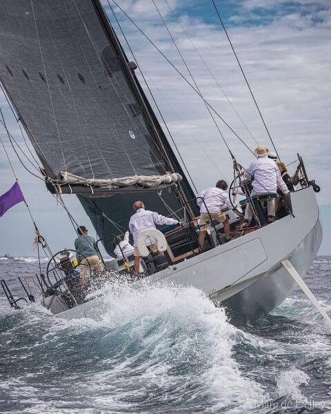 2026 Black Pepper Code 3