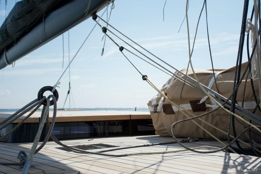 2026 Black Pepper Code 3