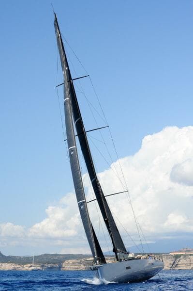 2026 Black Pepper Code 3