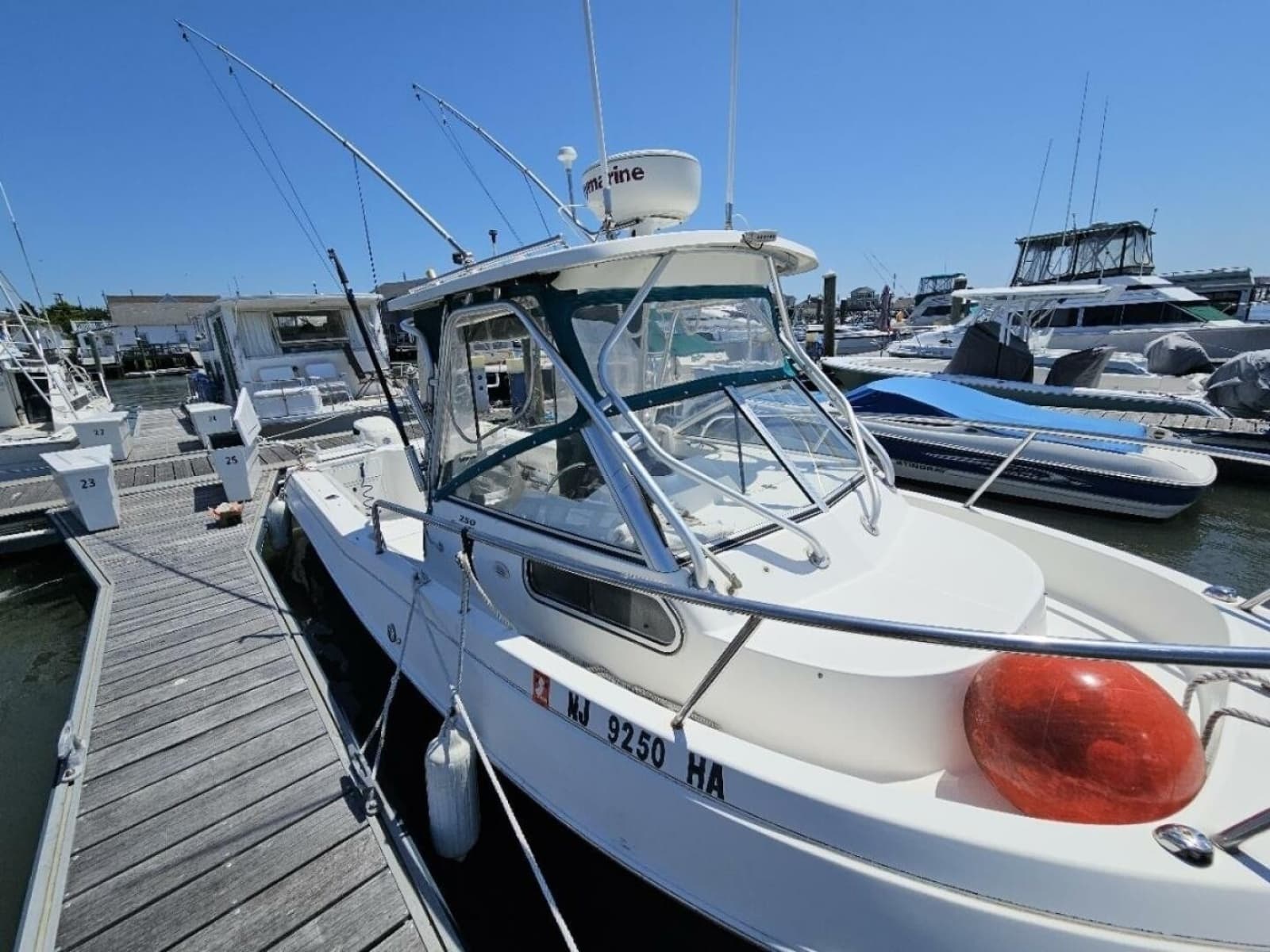 2001 Aquasport 250 Explorer - Photo 4