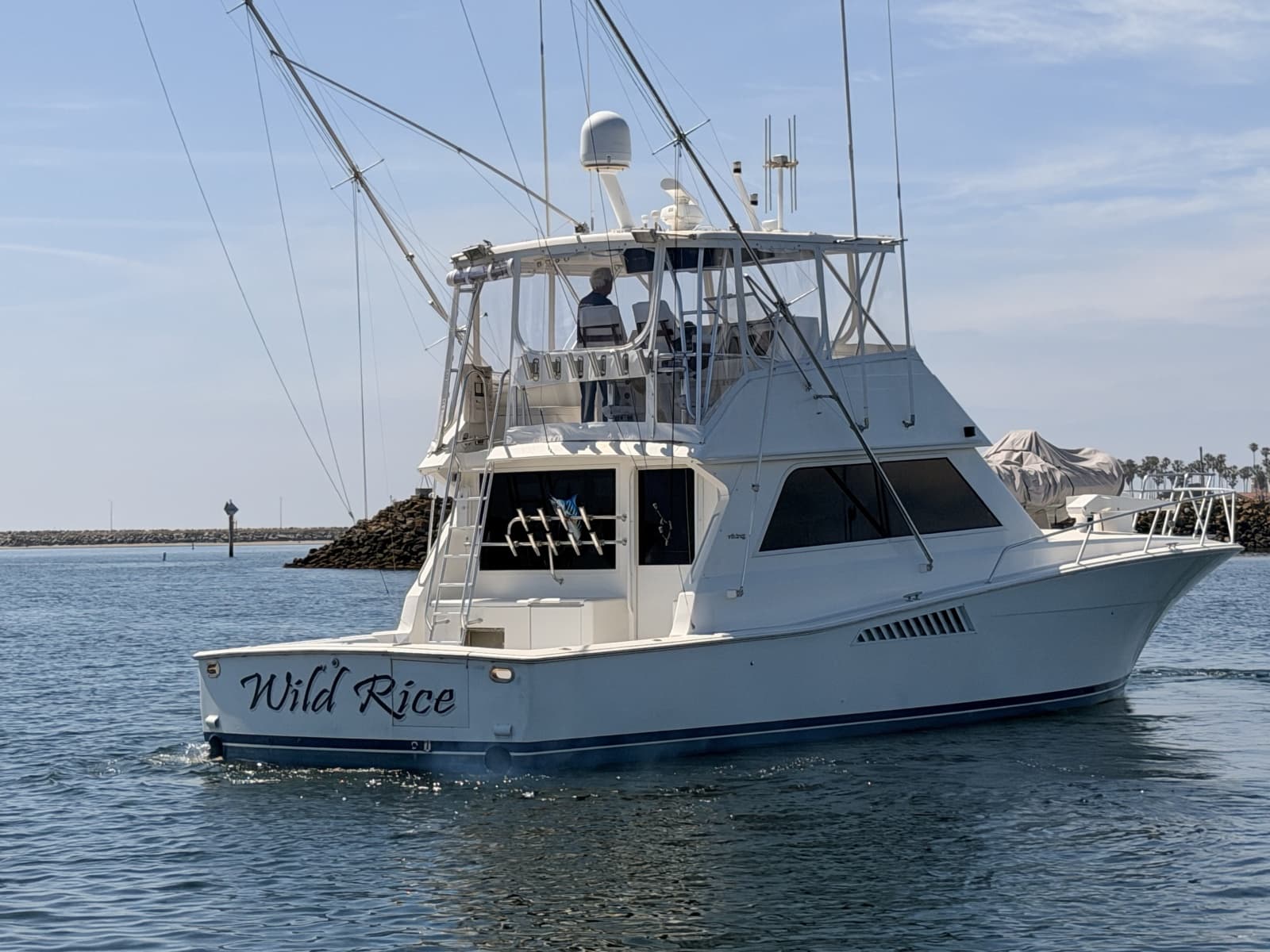 1994 Viking 50 Convertible - Photo 48