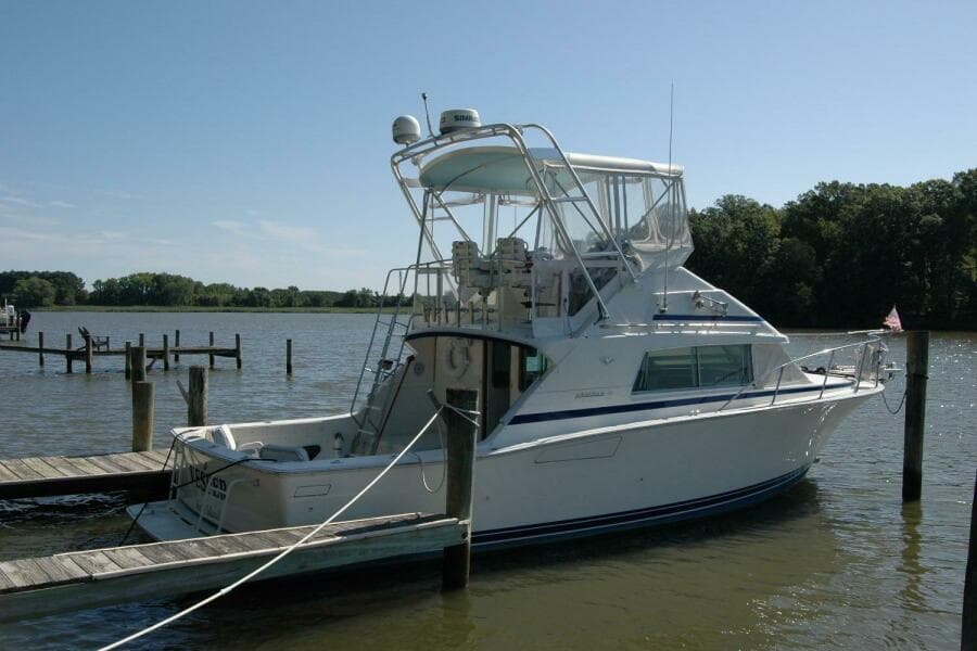 1987 Bertram 33 Sport Fisherman