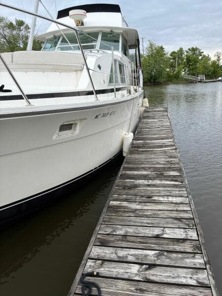 1977 Bertram 42 Motor Yacht