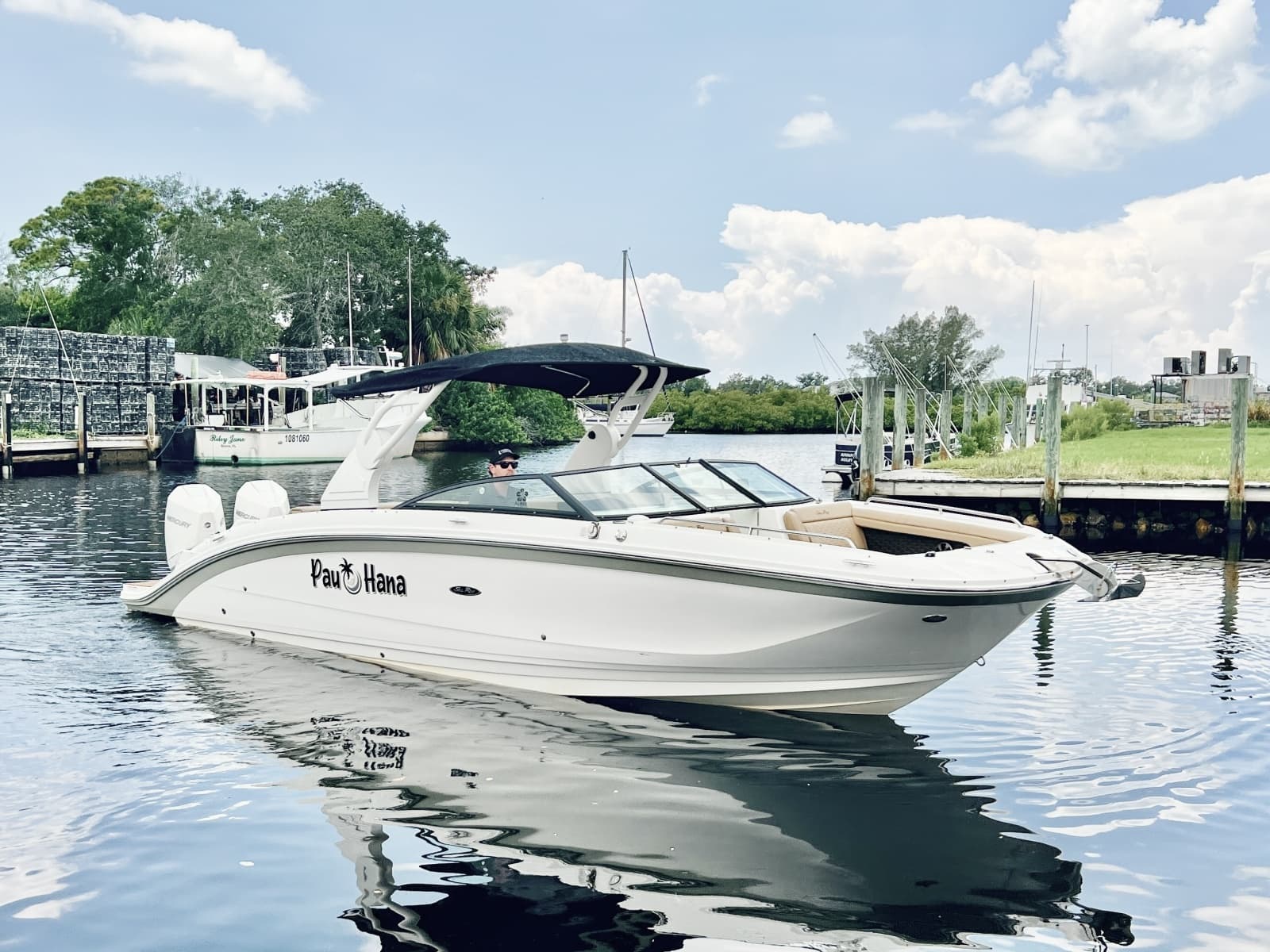 2019 Sea Ray SDX 290 OB