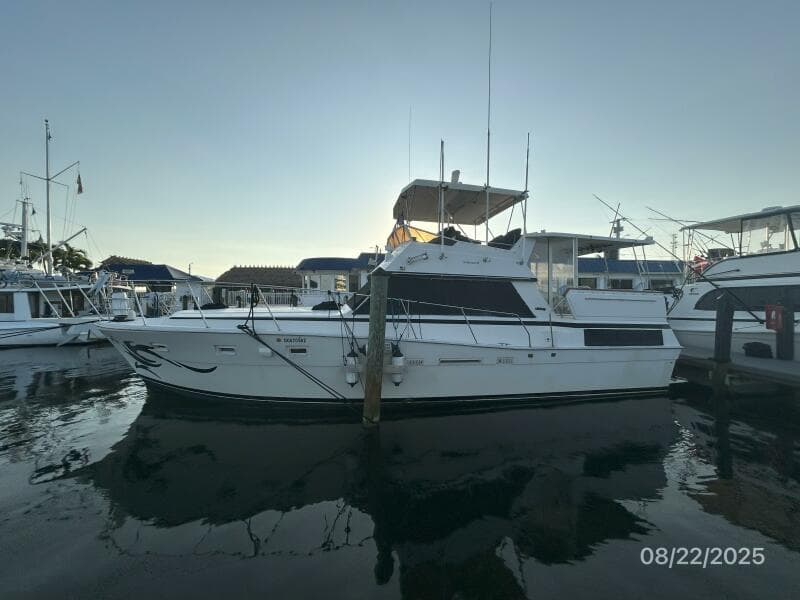 44' Viking port profile