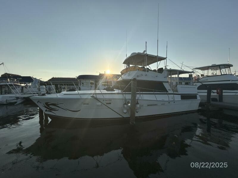 44' Viking port forward profile