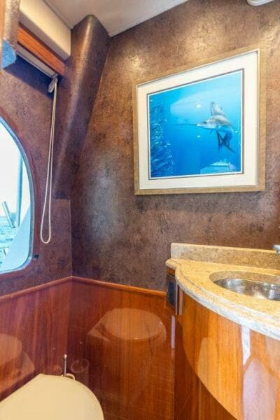 2015 Viking 66 No Collars - Head