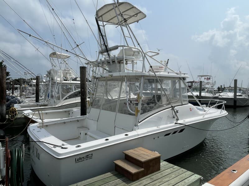 1993 Luhrs Tournament 290 Open