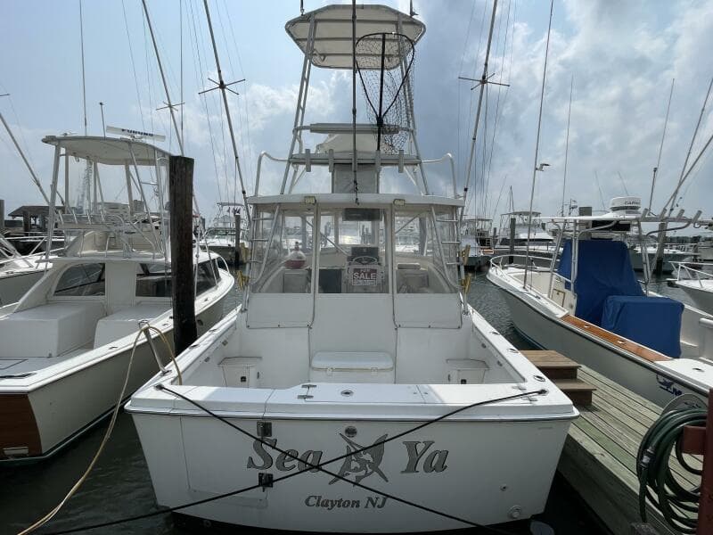 1993 Luhrs Tournament 290 Open