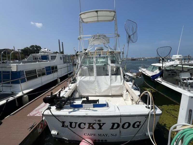 2001 Rampage Rampage 30 Express Open