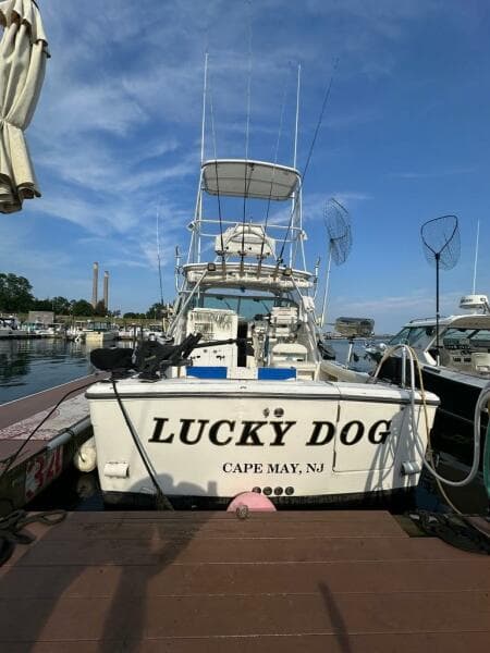 2001 Rampage Rampage 30 Express Open