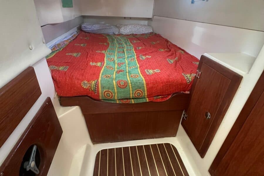2010 Gemini  - Photo 127