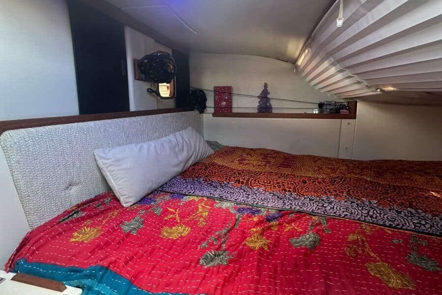 2010 Gemini  - Photo 19