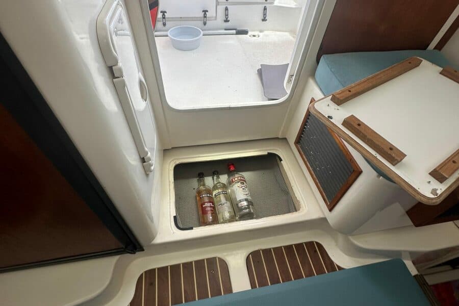 2010 Gemini  - Photo 110