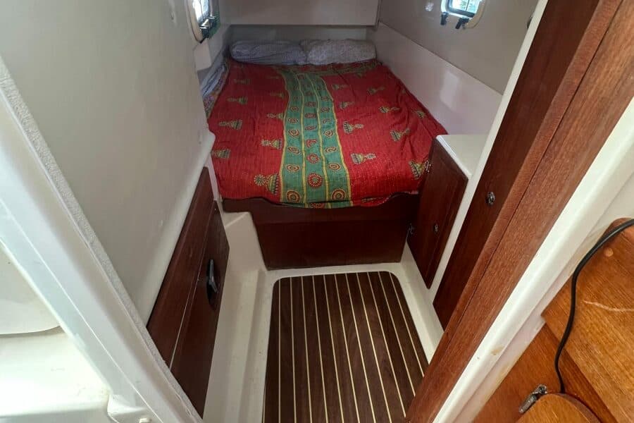 2010 Gemini  - Photo 123